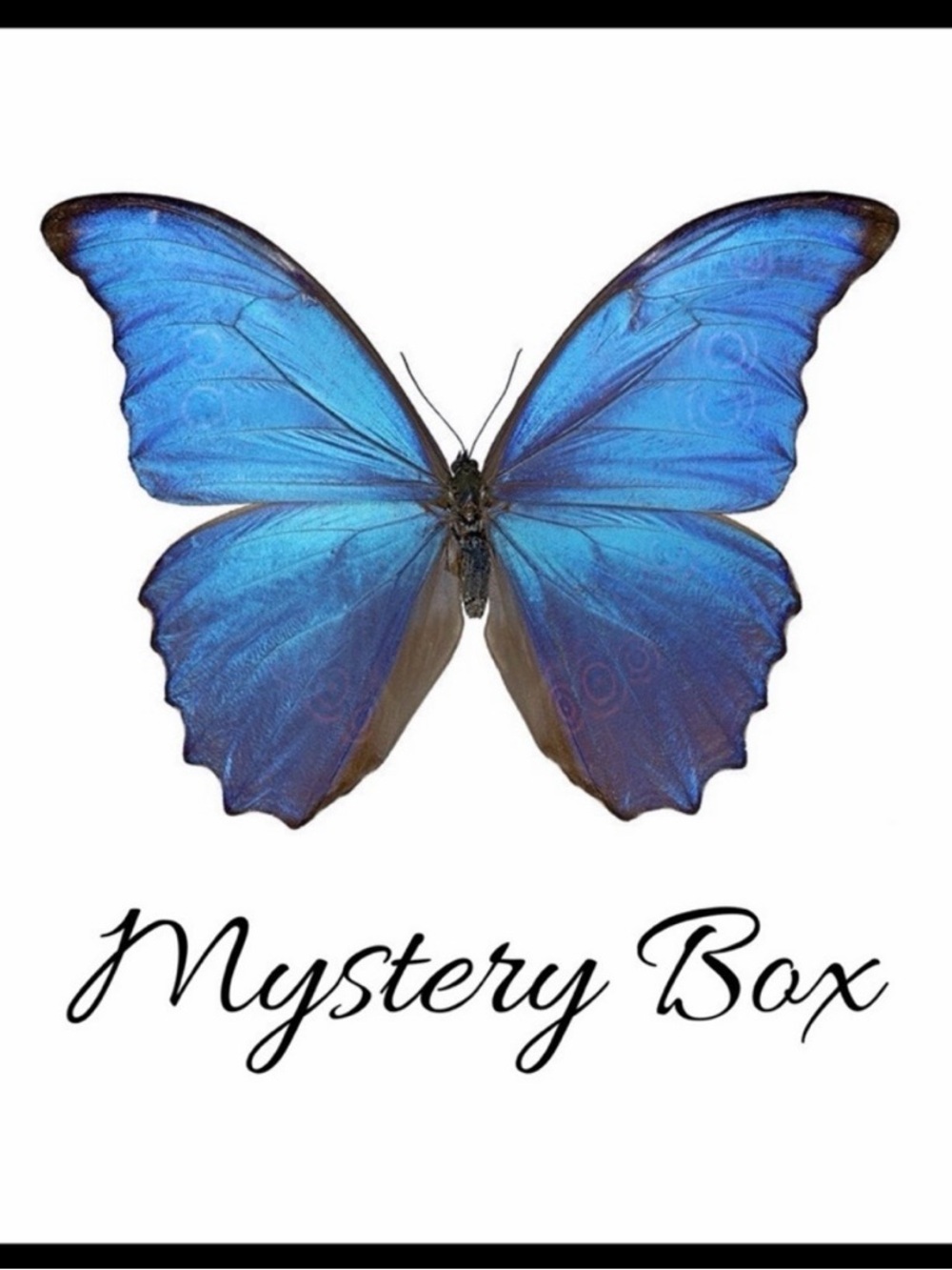 Mystery Box